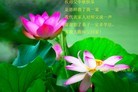 ֹ,ϴ󷨵ӹףʦ(28)

