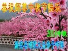 ֹ,󷨵ӹףʦ(20)
