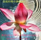 Published on 9/8/2014 ���ֹ�,��½�󷨵��ӹ�ףʦ�������(31��)
