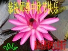 ֹ,󷨵ӹףʦ(19)
