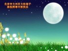 ֹ,󷨵ӹףʦ(24)
