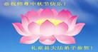 ֹ,󷨵ӹףʦ(21)
