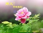ֹ,ϴ󷨵ӹףʦ(24)
