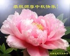 ֹ,ϴ󷨵ӹףʦ(24)
