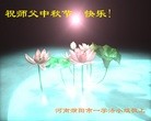 ֹ,ϴ󷨵ӹףʦ(24)
