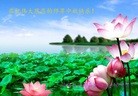 ֹ,󷨵ӹףʦ(23)
