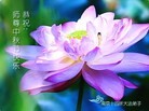 ֹ,մ󷨵ӹףʦ(21)
