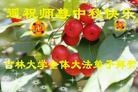 ֹ,󷨵ӹףʦ(26)
