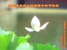 ֹ,󷨵ӹףʦ(21)
