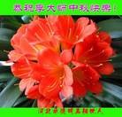 Published on 9/9/2014 ���ֹ�,���������˹�ף���־ʦ��������֣�22����
