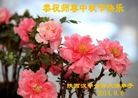 ֹ,󷨵ӹףʦ(25)
