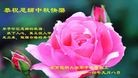 ֹ,ϴ󷨵ӹףʦ(23)
