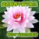 Published on 9/8/2014 ���ֹ�,��½�󷨵��ӹ�ףʦ�������(78��)
