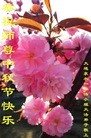 ֹ,󷨵ӹףʦ(79)
