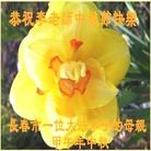 Published on 9/9/2014 ���ֹ�,���������˹�ף���־ʦ��������֣�22����
