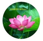 Published on 9/9/2014 ���ֹ�,��½�󷨵��ӹ�ףʦ�������(65��)
