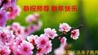 ֹ,½󷨵ӹףʦã145

