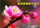 ֹ,½󷨵ӹףʦã145
