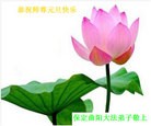 ֹ,½󷨵ӹףʦã145
