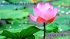 ֹ,½󷨵ӹףʦã145
