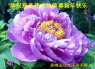 ֹ,ɹŴ󷨵ӹףʦ(27)
