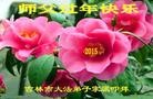 ֹ,д󷨵ӹףʦ(20)
