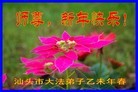 ֹ,㶫󷨵ӹףʦ(23)
