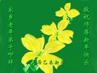 ֹ,󷨵ӹףʦ(18)

