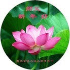 Published on 2/18/2015 ���ֹ�,С���ӹ�ףʦ������(22��)
