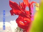 ֹ,󷨵ӹףʦ(20)
