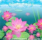 Published on 2/16/2015 ���ֹ�,����ҵ�󷨵��ӹ�ףʦ������(28��)
