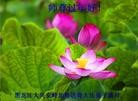 ֹ,󷨵ӹףʦ(20)

