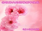 ֹ,ʡ󷨵ӹףʦ(30)
