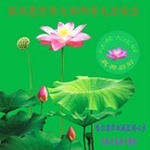 Published on 12/29/2015 ���ֹ�,��½�󷨵��ӹ�ףʦ���������(35��)
