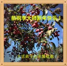 Published on 12/31/2015 ���ֹ�,�й���½���ڹ�ף���־ʦ�������(30��)
