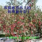 Published on 12/31/2015 ���ֹ�,��½�󷨵��ӹ�ףʦ���������(32��)
