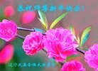 ֹ,ݴ󷨵ӹףʦ(21)
