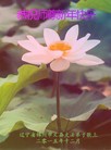 ֹ,ݴ󷨵ӹףʦ(21)
