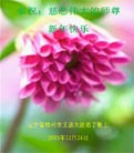 ֹ,ݴ󷨵ӹףʦ(21)
