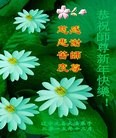 ֹ,ݴ󷨵ӹףʦ(18)

