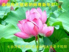 ֹ,󷨵ӹףʦ(20)
