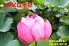 ֹ,ʡ󷨵ӹףʦ(32)

