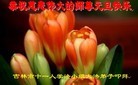 ֹ,ʡ󷨵ӹףʦ(30)
