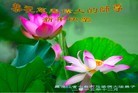 ֹ,󷨵ӹףʦ(20)
