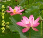 ֹ,󷨵ӹףʦ(28)
