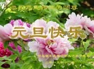 ֹ,ӱ󷨵ӹףʦ(25)
