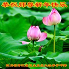 Published on 12/30/2015 ���ֹ�,����ҵ�󷨵��ӹ�ףʦ���������(28��)
