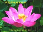 ֹ,ϴ󷨵ӹףʦ(24)
