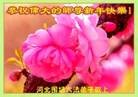 ֹ,ӱ󷨵ӹףʦ(22)
