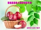 ֹ,󷨵ӹףʦ(21)
